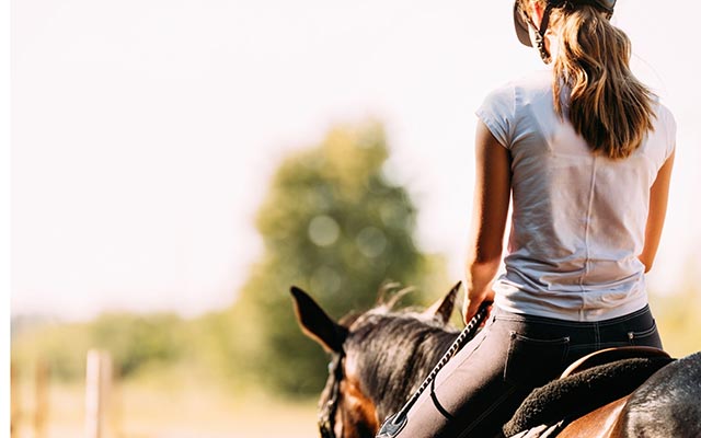 Le Pôle du Cheval et de l'Âne